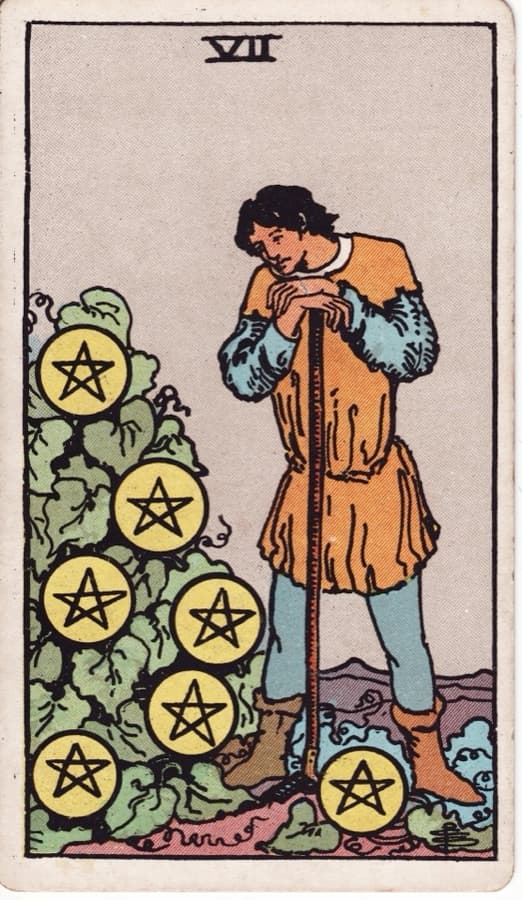 ペンタクルの7（Seven of Pentacles）