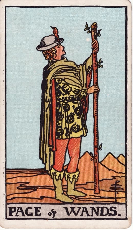 ワンドのペイジ（Page of Wands）